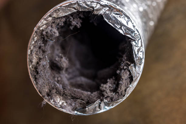 Best Affordable Air Duct Cleaning  in Gwinn, MI